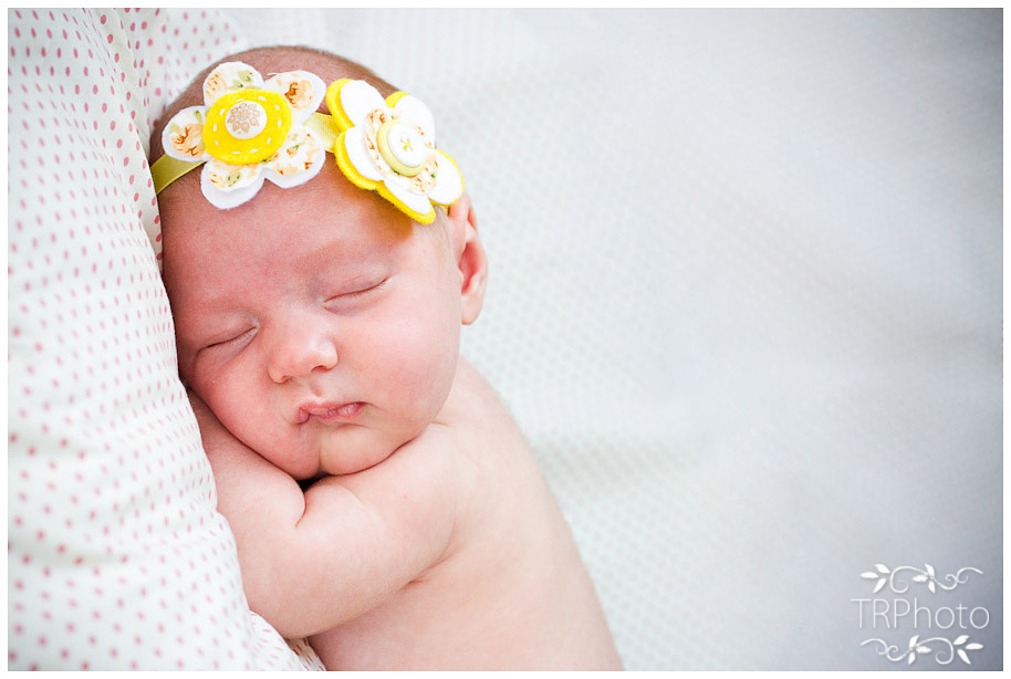 Pretoria Newborn Photos