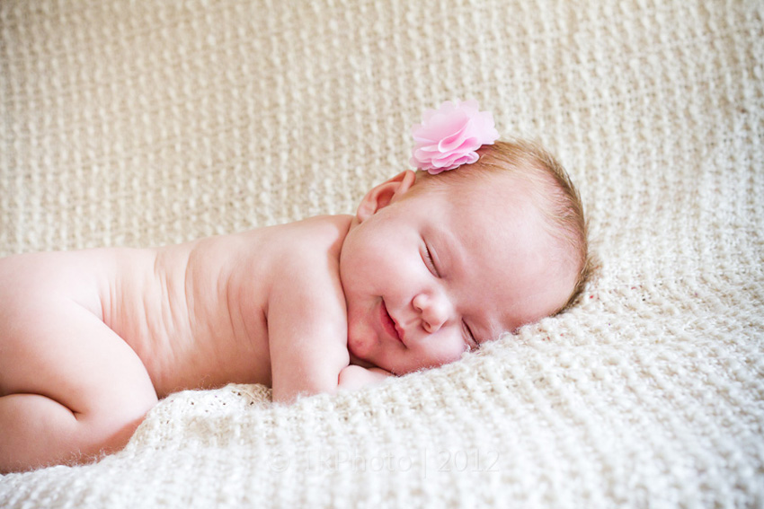 Johannesburg Newborn Photos