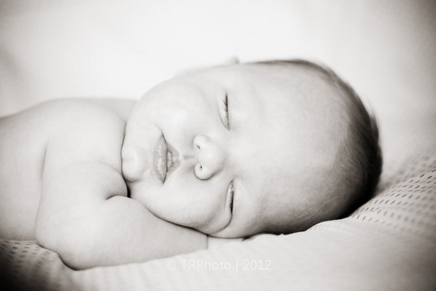 Johannesburg Newborn Photos