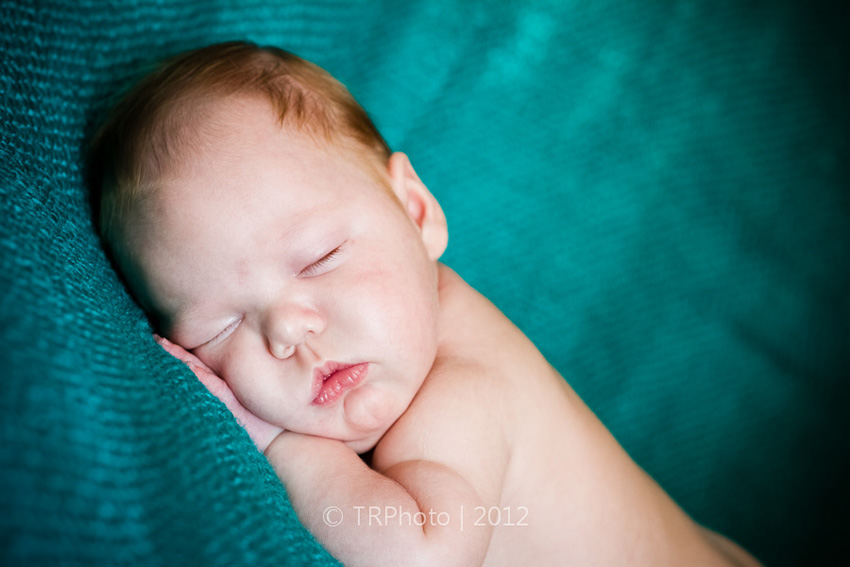 Johannesburg Newborn Photos