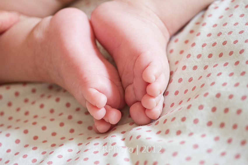 Johannesburg Newborn Photos