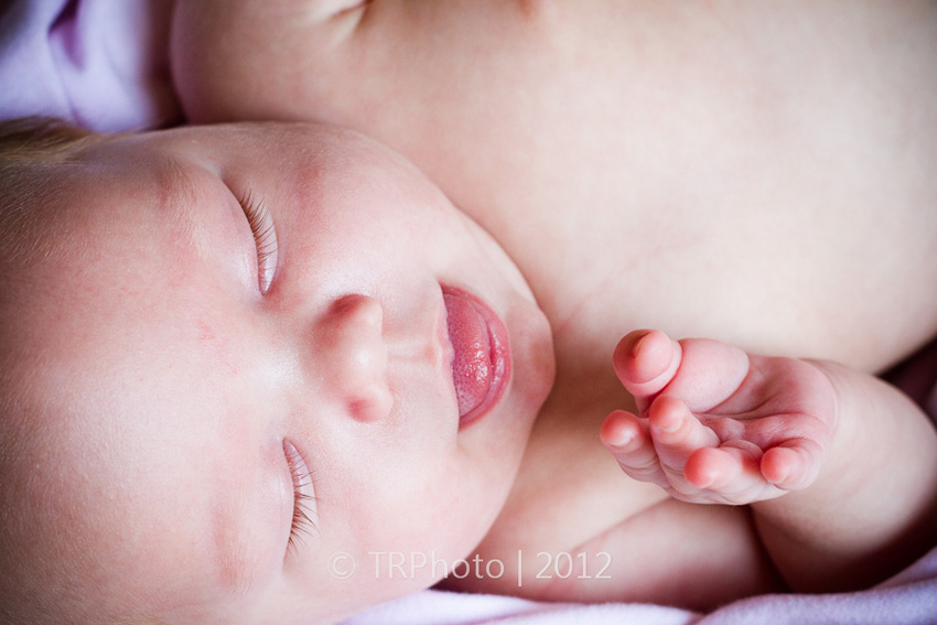 Johannesburg Newborn Photos