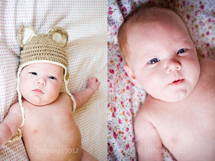 Johannesburg Newborn Photos