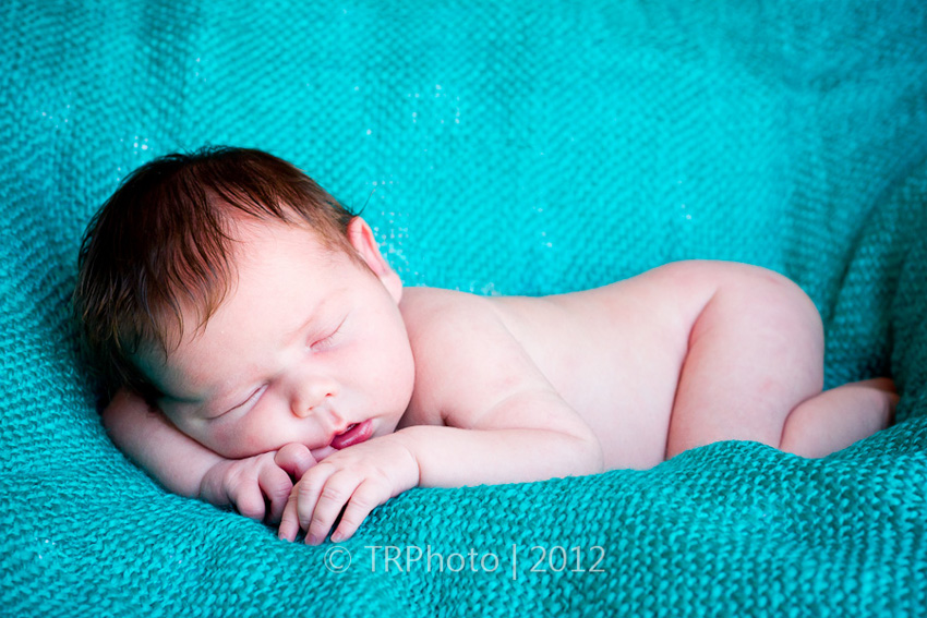 Johannesburg Newborn Photos