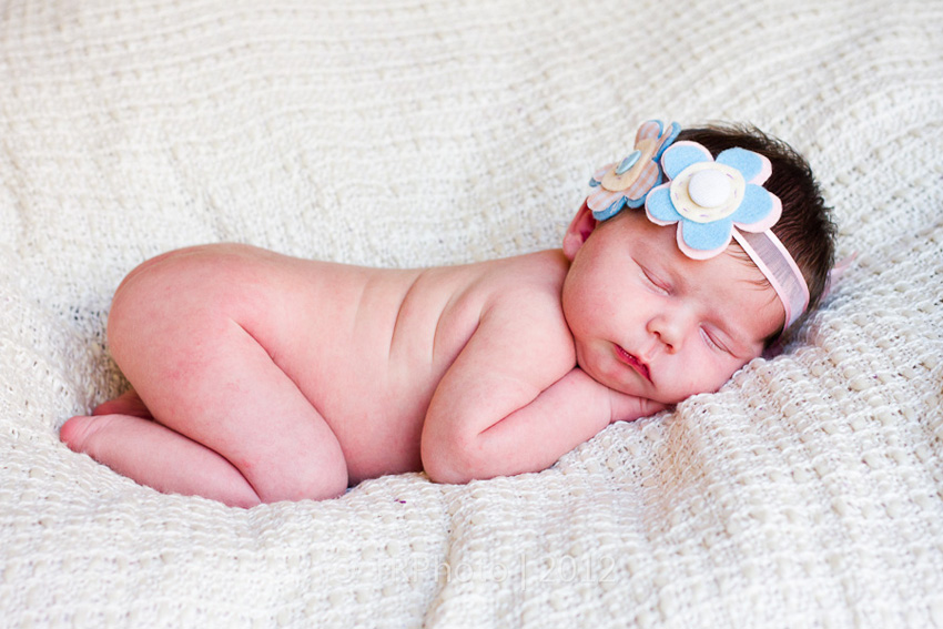 Johannesburg Newborn Photos