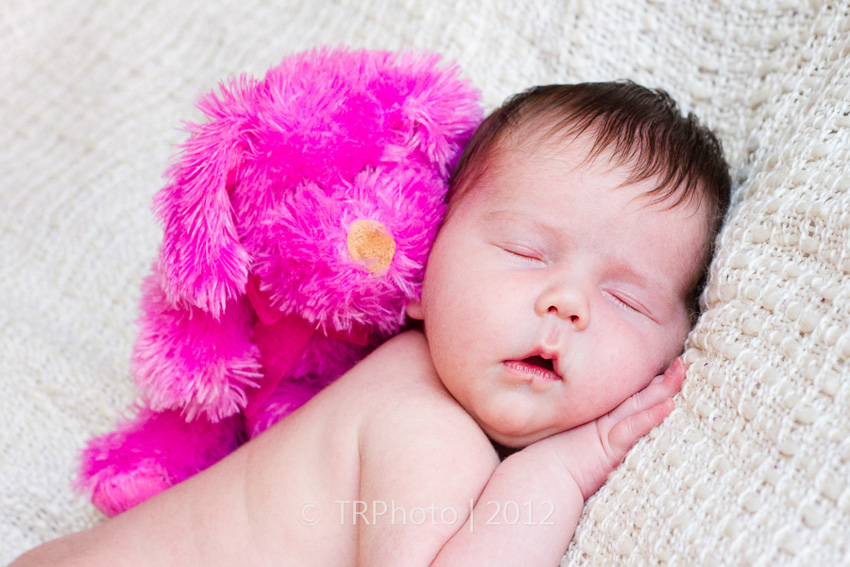 Johannesburg Newborn Photos