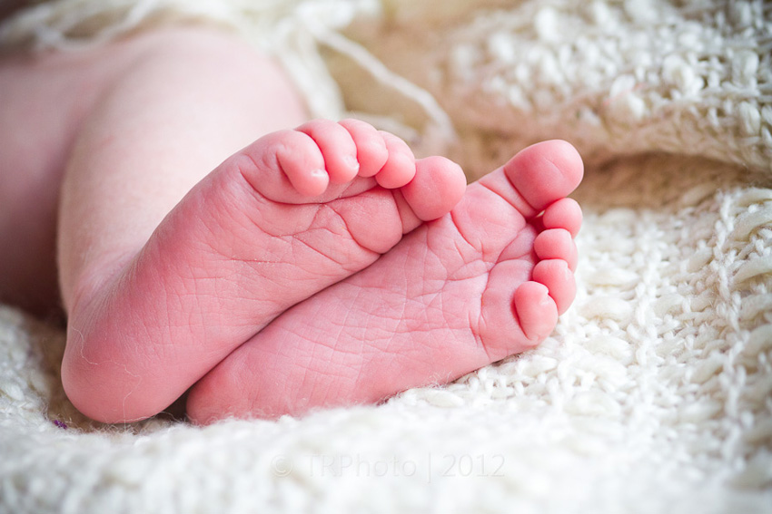 Johannesburg Newborn Photos