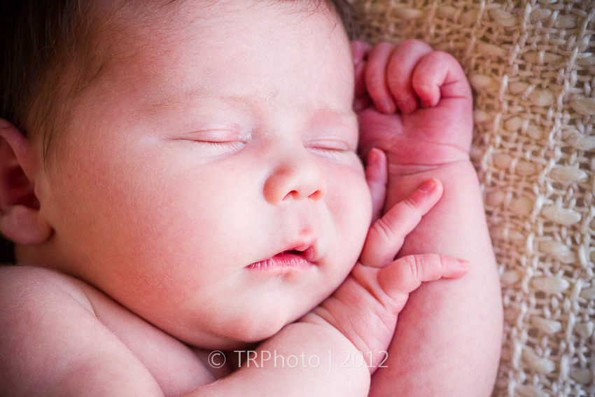 Johannesburg Newborn Photos