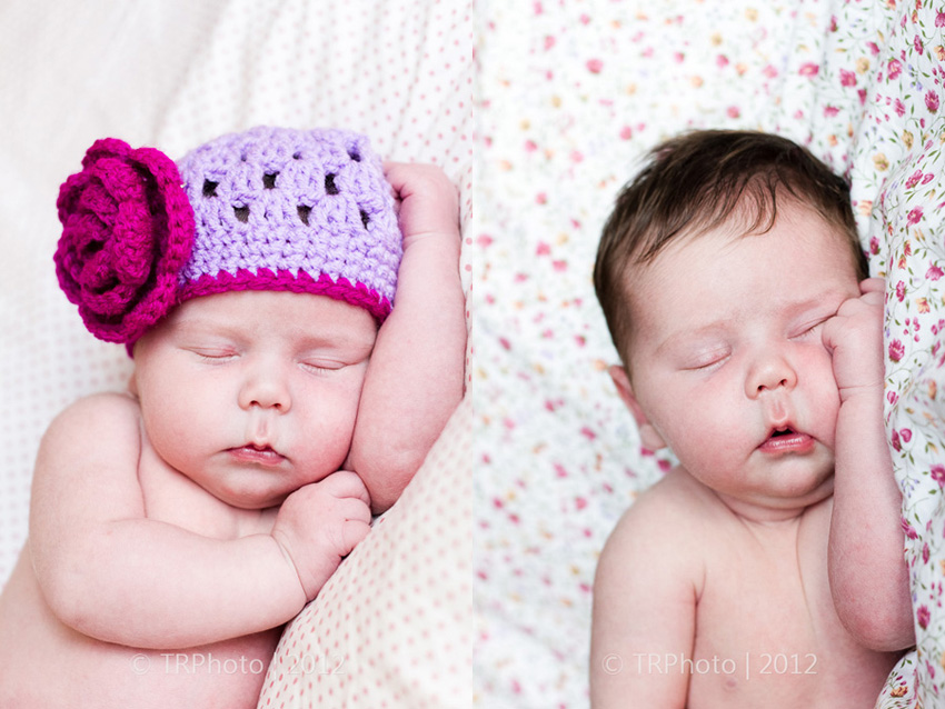 Johannesburg Newborn Photos