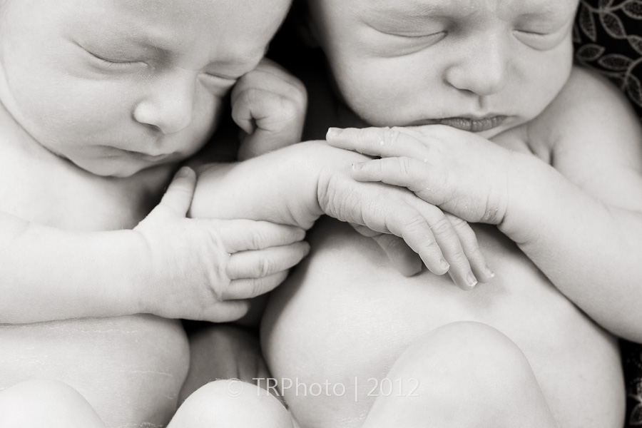 Waterkloof Newborn Photoshoot