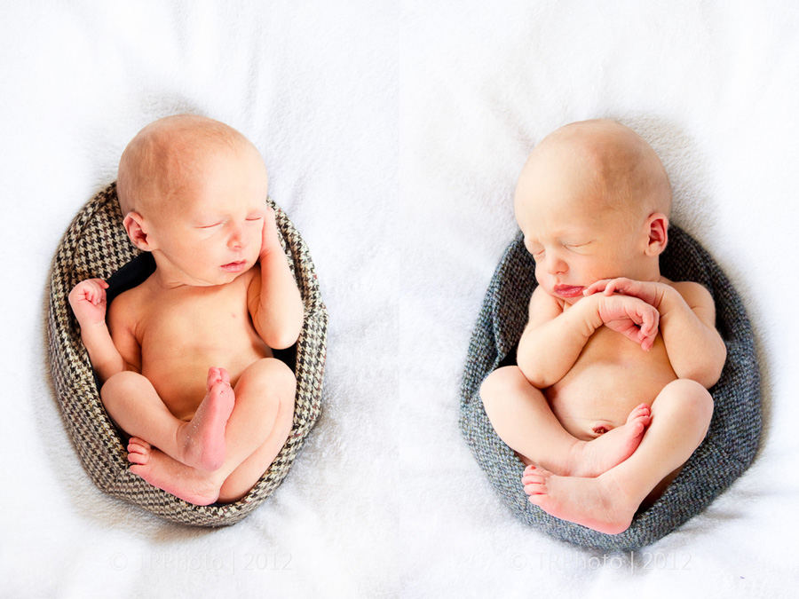 Waterkloof Newborn Photoshoot