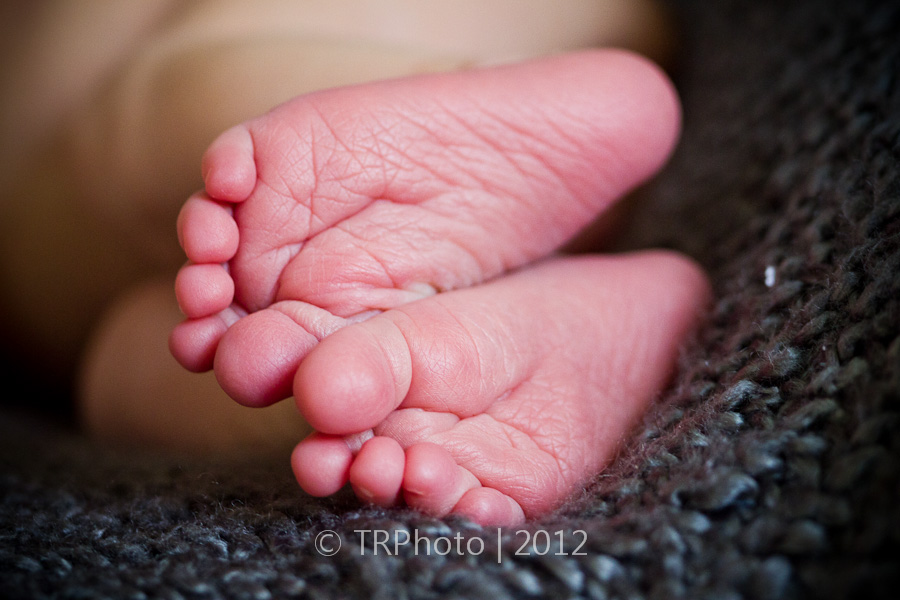 Waterkloof Newborn Photoshoot