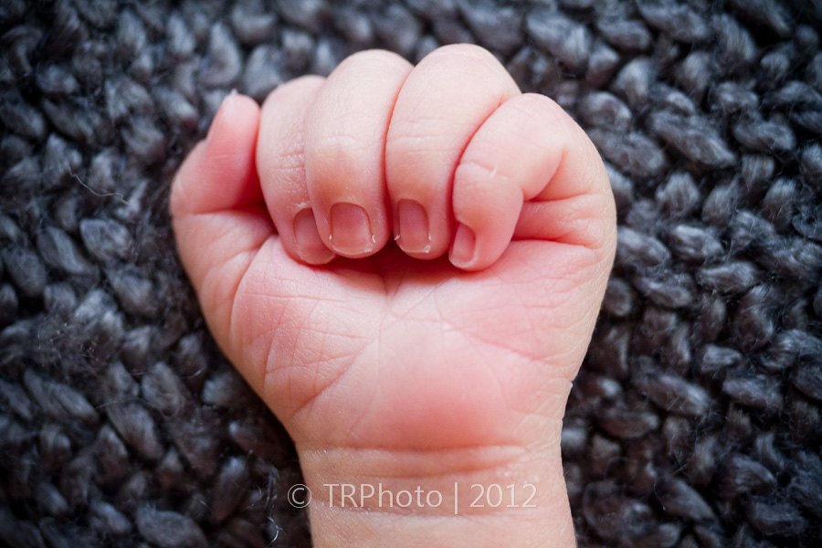 Waterkloof Newborn Photoshoot