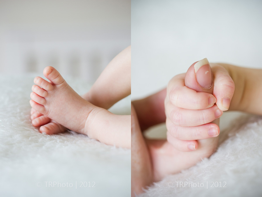 Johannesburg Newborn Photos