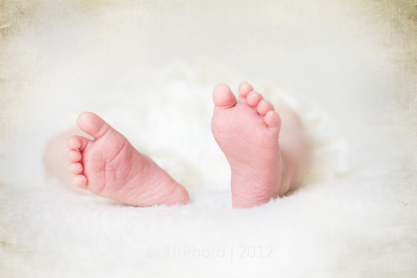 Johannesburg Newborn Photos