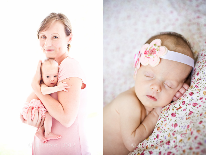 Johannesburg Newborn Photos