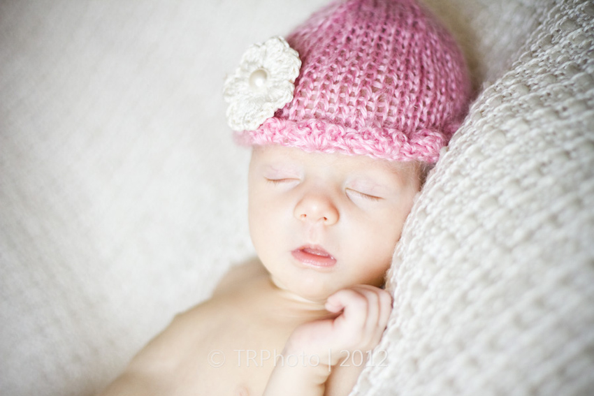 Johannesburg Newborn Photos