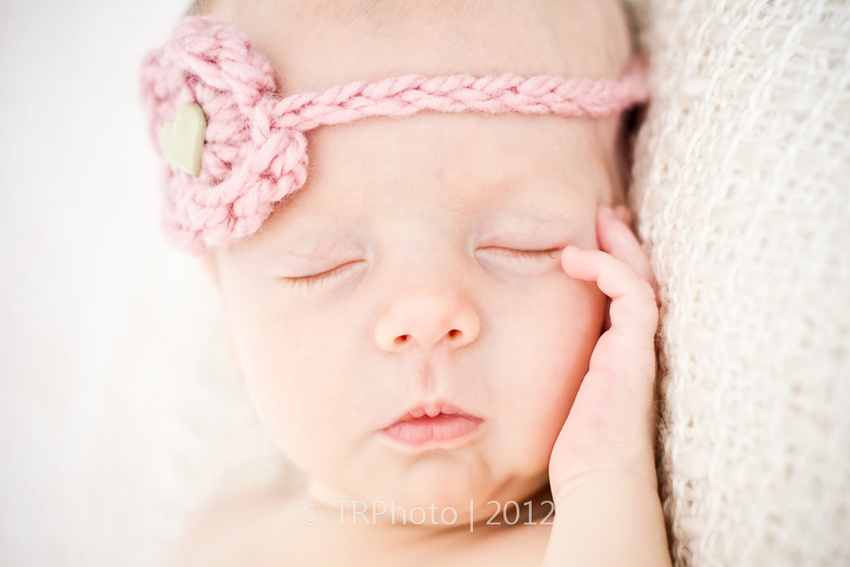 Johannesburg Newborn Photos