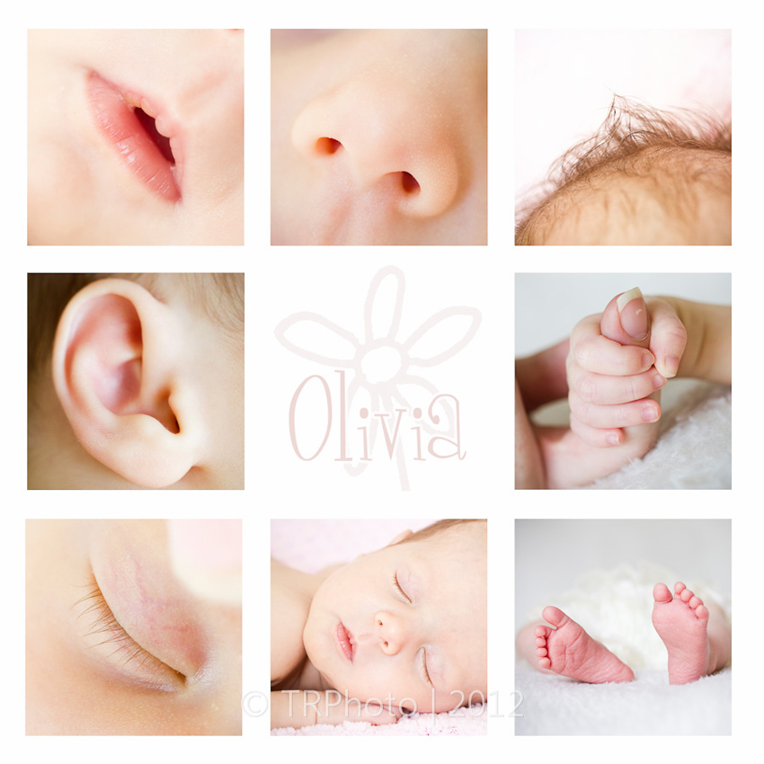 Johannesburg Newborn Photos