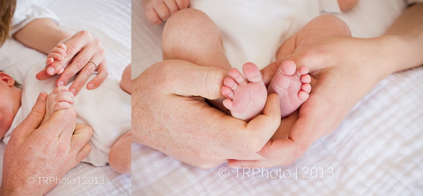 Johannesburg Newborn Photos