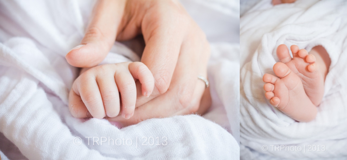 Johannesburg Newborn Photos