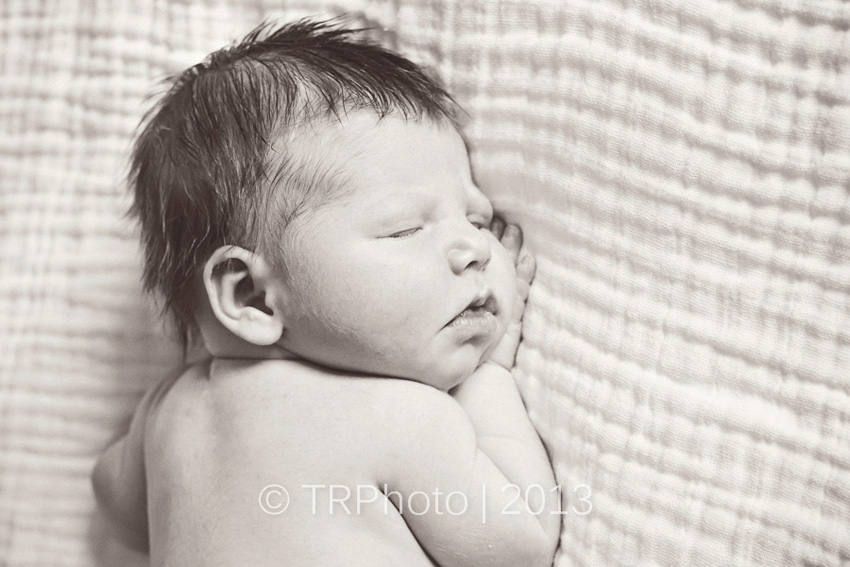 Johannesburg Newborn Photos