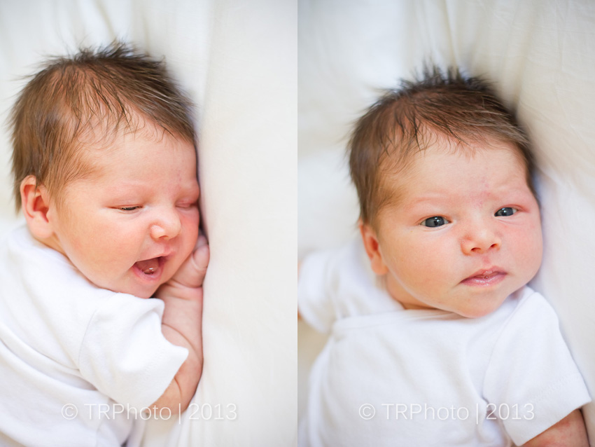 Johannesburg Newborn Photos