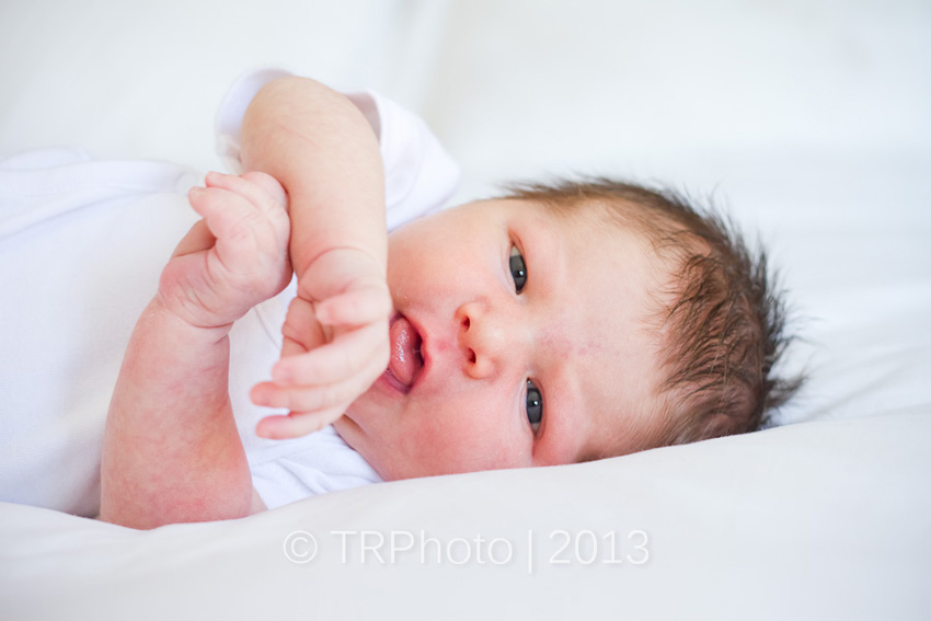 Johannesburg Newborn Photos